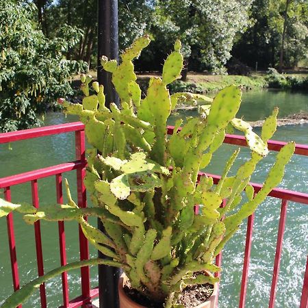 Logis Le Moulin Fleuri Hotel Veigné Kültér fotó