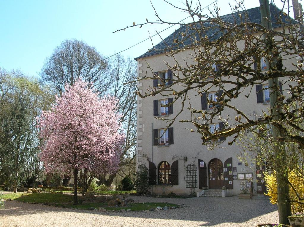 Logis Le Moulin Fleuri Hotel Veigné Kültér fotó